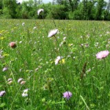 2305F 010 Marburg-Trier